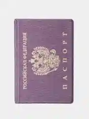 Серый обложка на паспорт