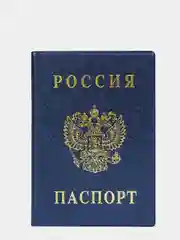Обложка на паспорт