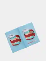 Бирюзовый обложка для паспорта