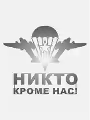 Металлическая наклейка-стикер "Никто кроме нас" на телефон, автомобиль