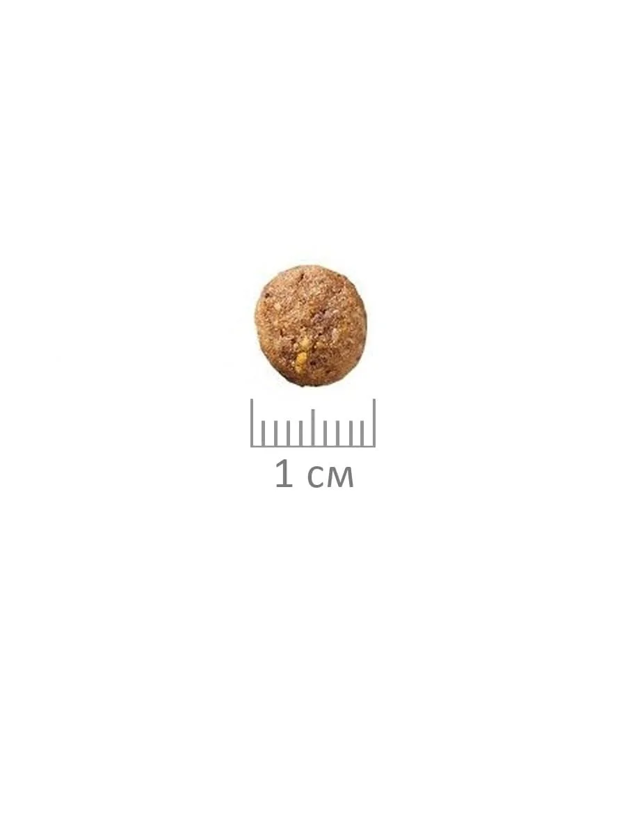 Корм сухой для кошек ProBalance "Gourmet Diet", с говядиной и кроликом, 10 кг