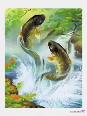Алмазная мозаика "Рыбы, два карпа", на подрамнике, 40*50 см