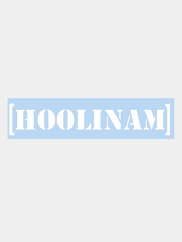 Наклейка на авто "HOOLINAM" 25х5см