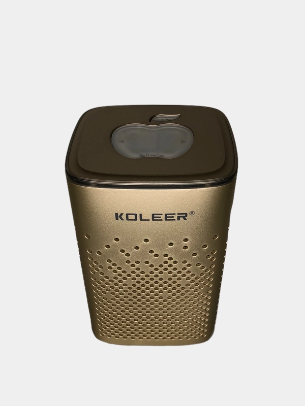 Колонка беспроводная KOLEER S818