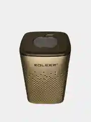 Золотой колонка беспроводная KOLEER S818