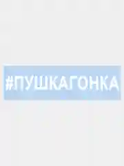 Наклейка на авто "ПУШКАГОНКА" 25х3,5см
