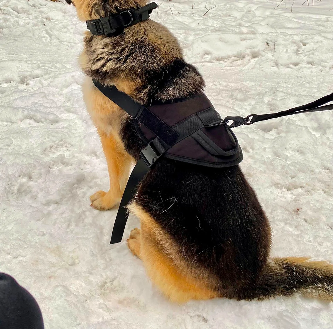 Жилет для собак Molle Patrol K9, нейлоновый, черный