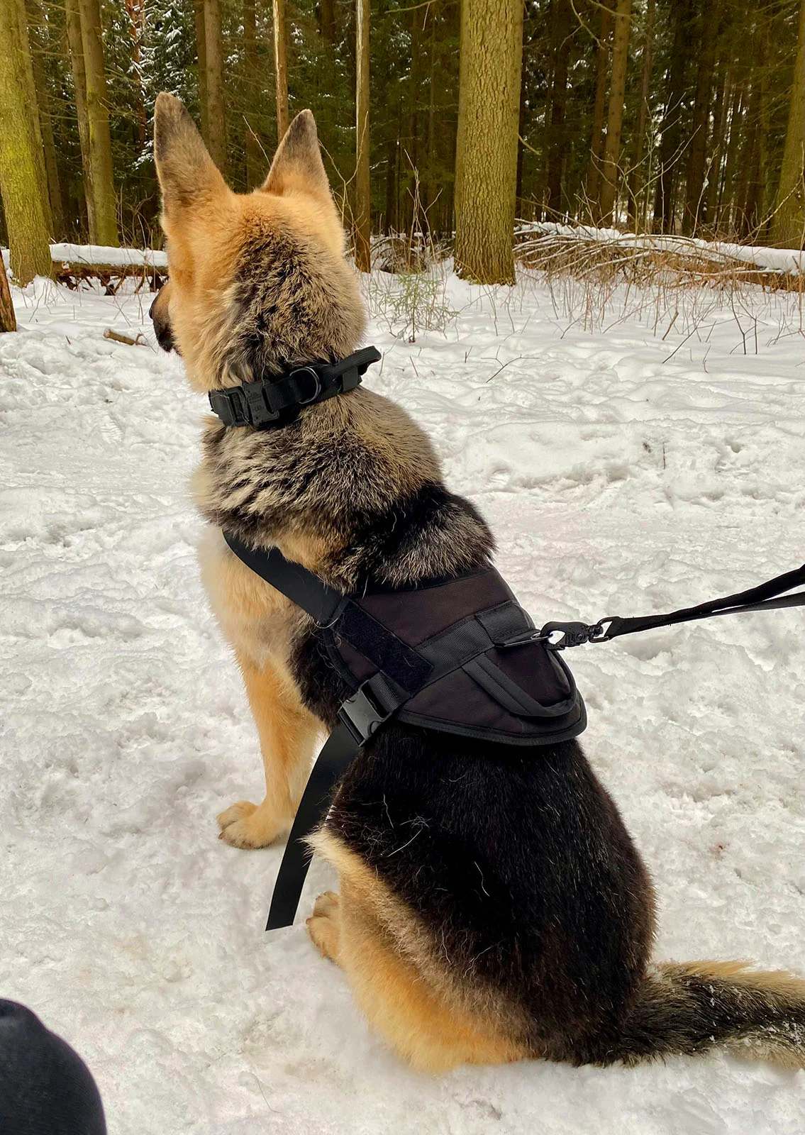 Жилет для собак Molle Patrol K9, нейлоновый, черный
