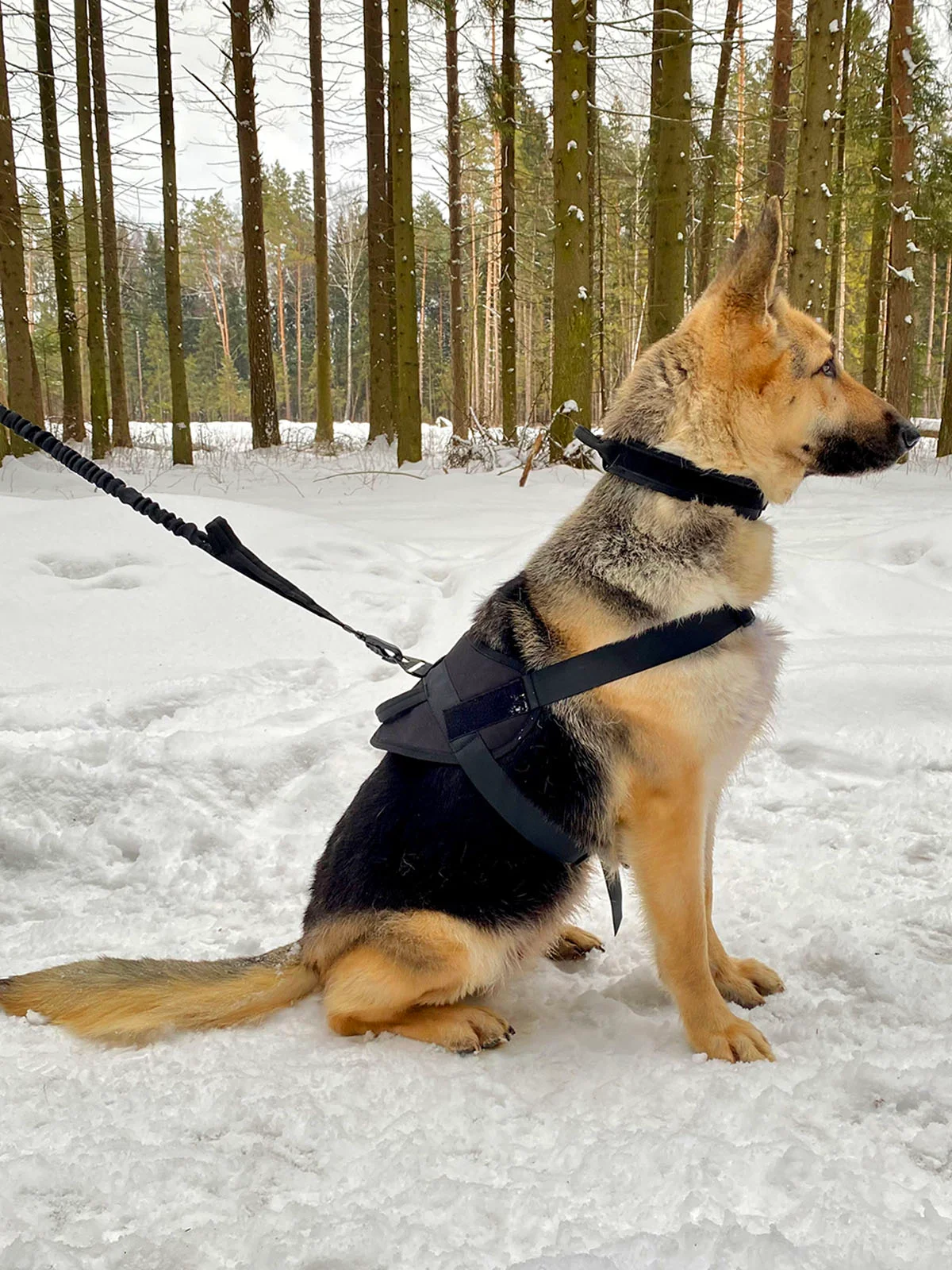Жилет для собак Molle Patrol K9, нейлоновый, черный