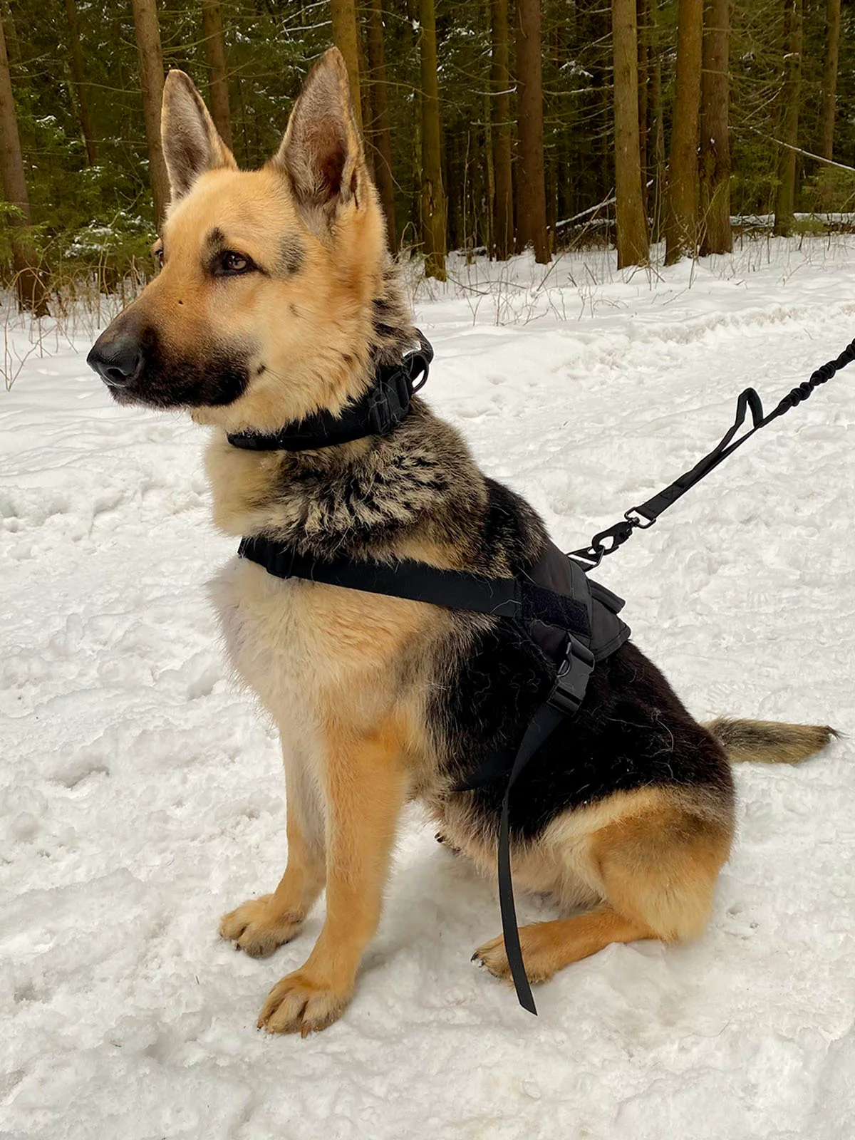 Жилет для собак Molle Patrol K9, нейлоновый, черный