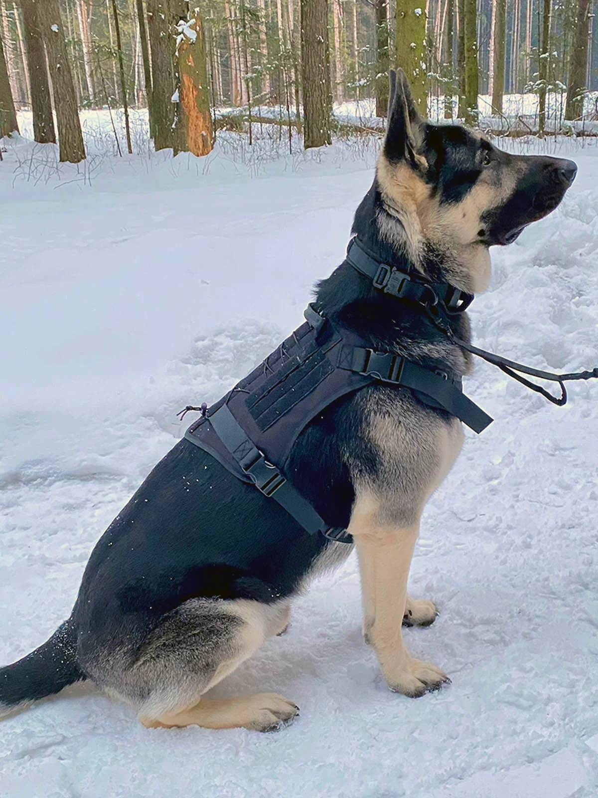 Жилет специального назначения для собак K9 Tactical, черный