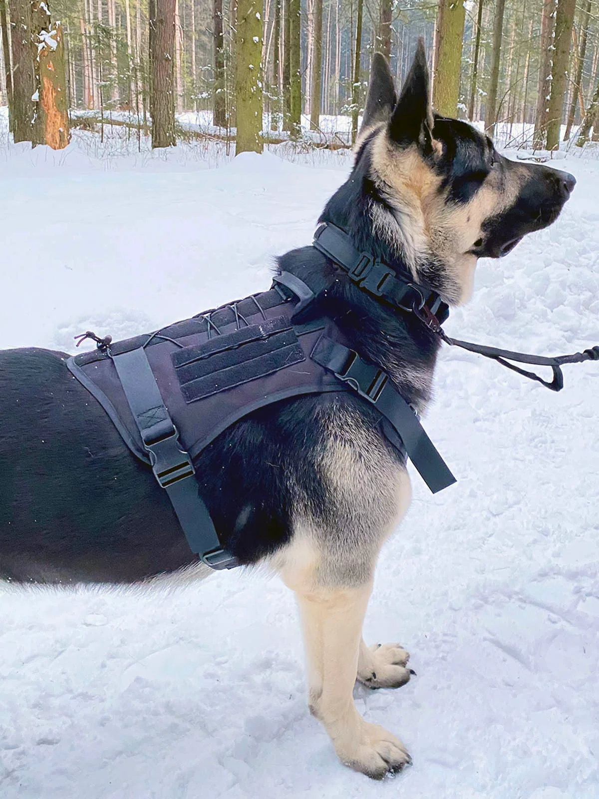 Жилет специального назначения для собак K9 Tactical, черный