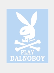 Наклейка на авто "PLAY DALNOBOY" 20х14см