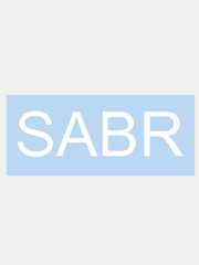 Наклейка на авто "SABR", 14 х 4 см
