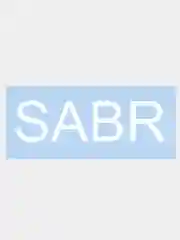 Наклейка на авто "SABR", 14 х 4 см