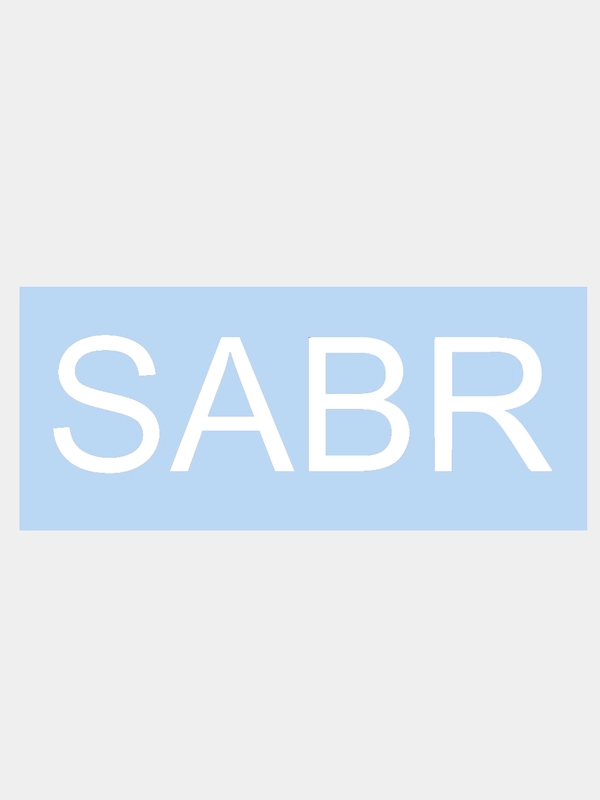 Наклейка на авто "SABR", 14 х 4 см