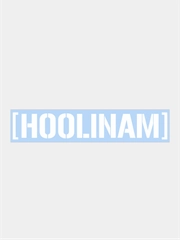 Наклейки на автомобиль "HOOLINAM"