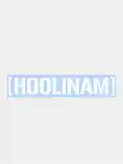 Наклейки на автомобиль "HOOLINAM"