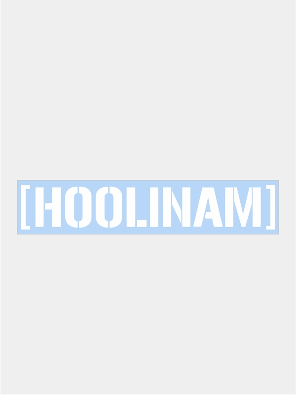 Наклейки на автомобиль "HOOLINAM"