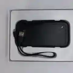 Портативное зарядное устройство Rower Bank 10000 mah SD333, 2.1A