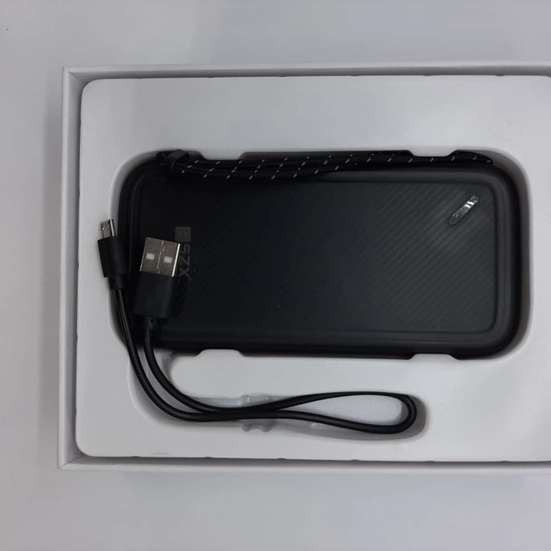 Портативное зарядное устройство Rower Bank 10000 mah SD333, 2.1A