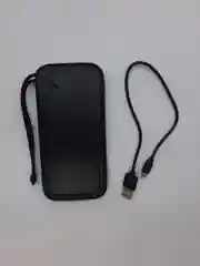 Портативное зарядное устройство Rower Bank 10000 mah SD333, 2.1A