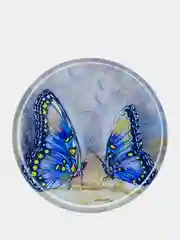 Ледяной попсокет для смартфона с рисунком Бабочки, винтаж