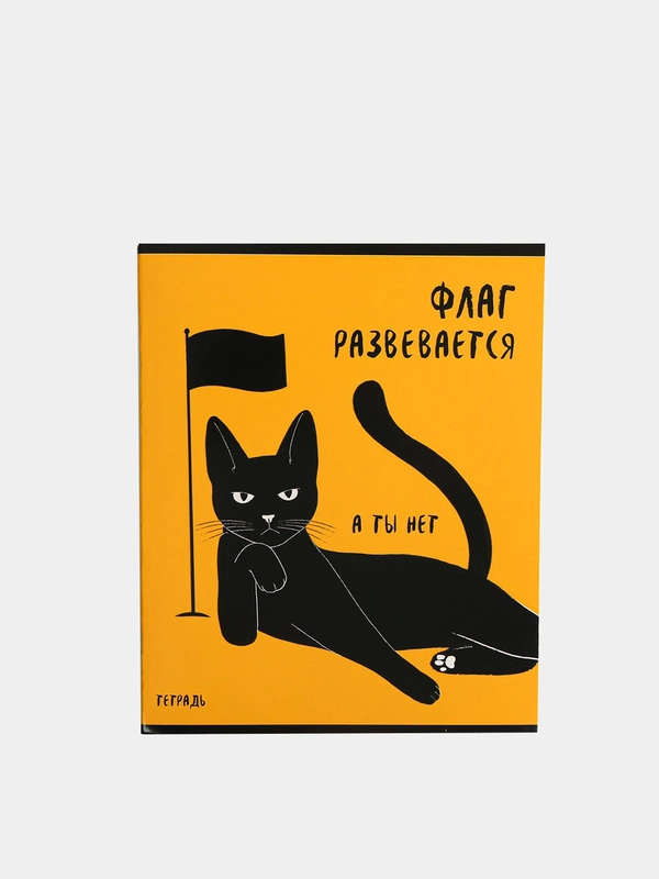 Тетрадь "Флаг развевается, а ты нет", 48 листов