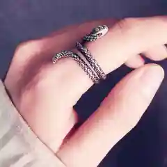 Серебряный кольцо "Змея" серебряное, женский перстень безразмерный со змеей, незамкнутый