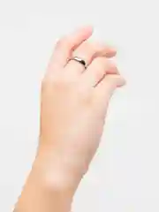 Кольцо из стали