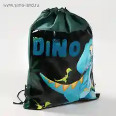 Сумка для обуви "Дино", 41 х 30 х 0,5 см
