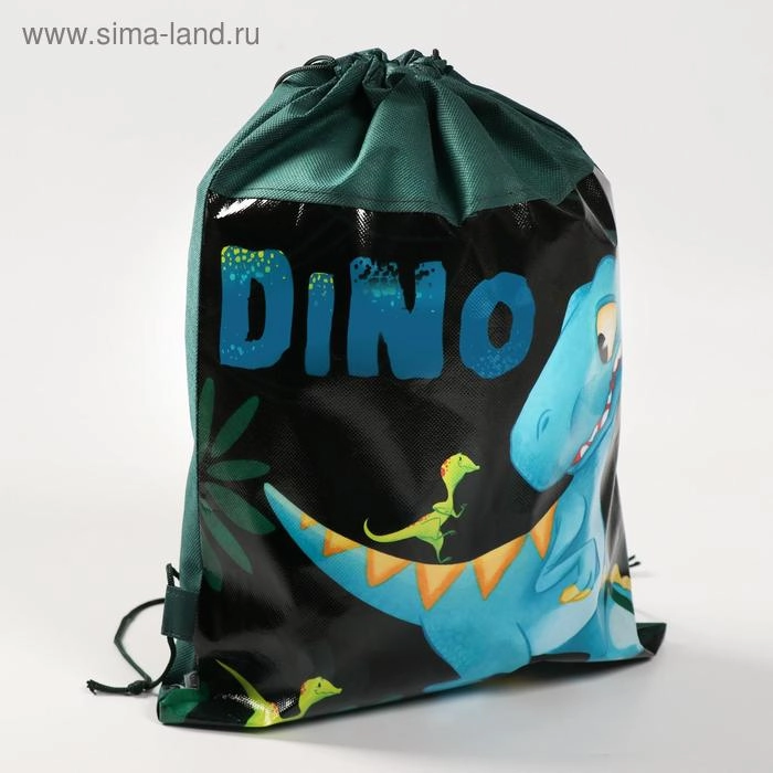 Сумка для обуви "Дино", 41 х 30 х 0,5 см