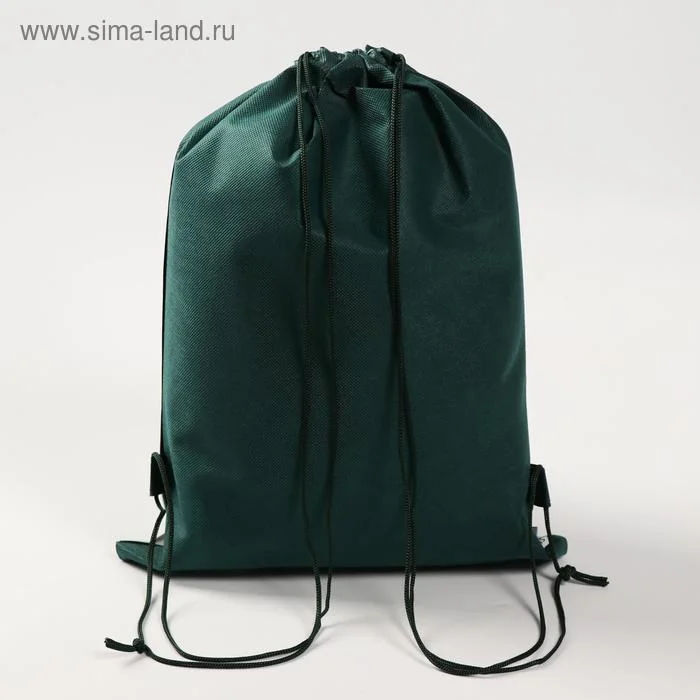 Сумка для обуви "Дино", 41 х 30 х 0,5 см