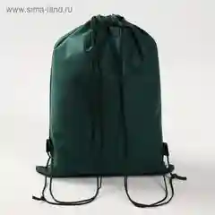 Сумка для обуви "Дино", 41 х 30 х 0,5 см