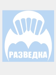 Наклейка на авто "Разведка", 15 х 14 см