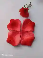 Коралловый искусственные лепестки роз 144шт