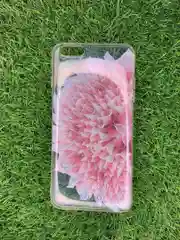 Розовый чехол накладка для Iphone 6+/6s+