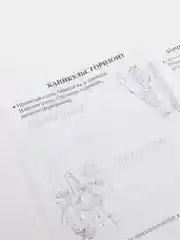 Орфографические прописи. Развивающие задания: 4 класс