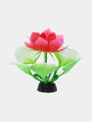 Растение для аквариума Plant "Кувшинка зелёная с цветком", 10 см