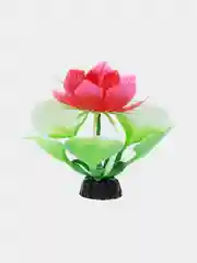 Растение для аквариума Plant "Кувшинка зелёная с цветком", 10 см