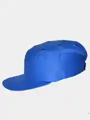 Синий каскетка (цвета разные)
