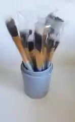Ледяной кисти для макияжа в тубе 12 шт