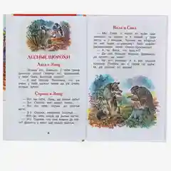 Лесные сказки, Сладков Н. И (У156116)