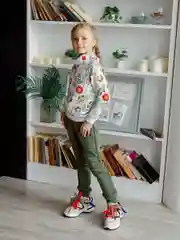 Костюм (толстовка, джоггеры) SovaLina "FAN"