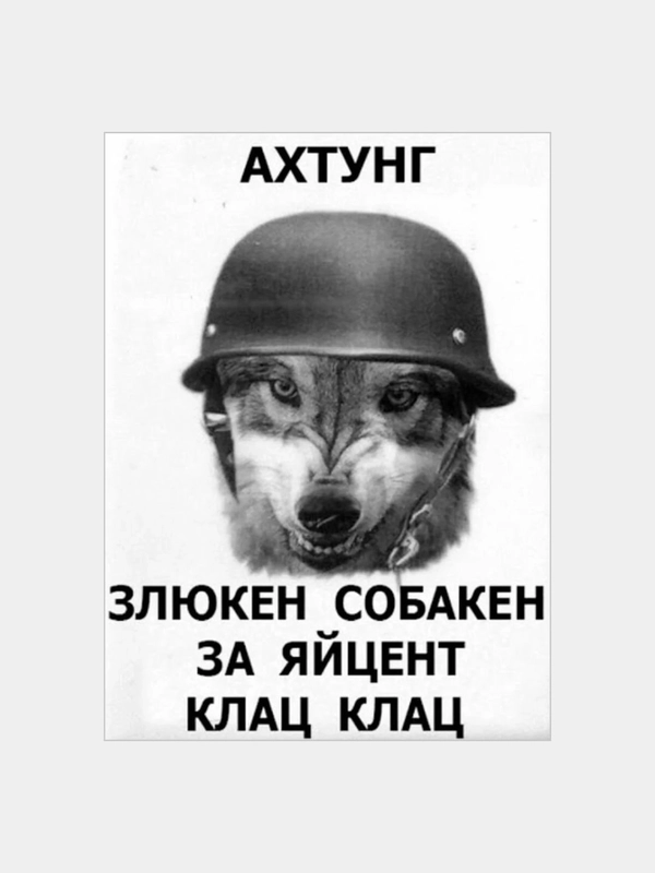 Информационная табличка "Ахтунг! Злюкен собакен" 300x200 мм из пластика 3 мм (Р)