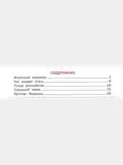 Книга для детей "Необыкновенный поросенок. Сборник детских рассказов"