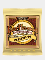 Струны для акустической гитары Ernie Ball Earthwood 80/20