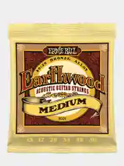 Струны для акустической гитары Ernie Ball Earthwood 80/20
