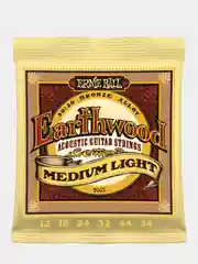 Струны для акустической гитары Ernie Ball Earthwood 80/20