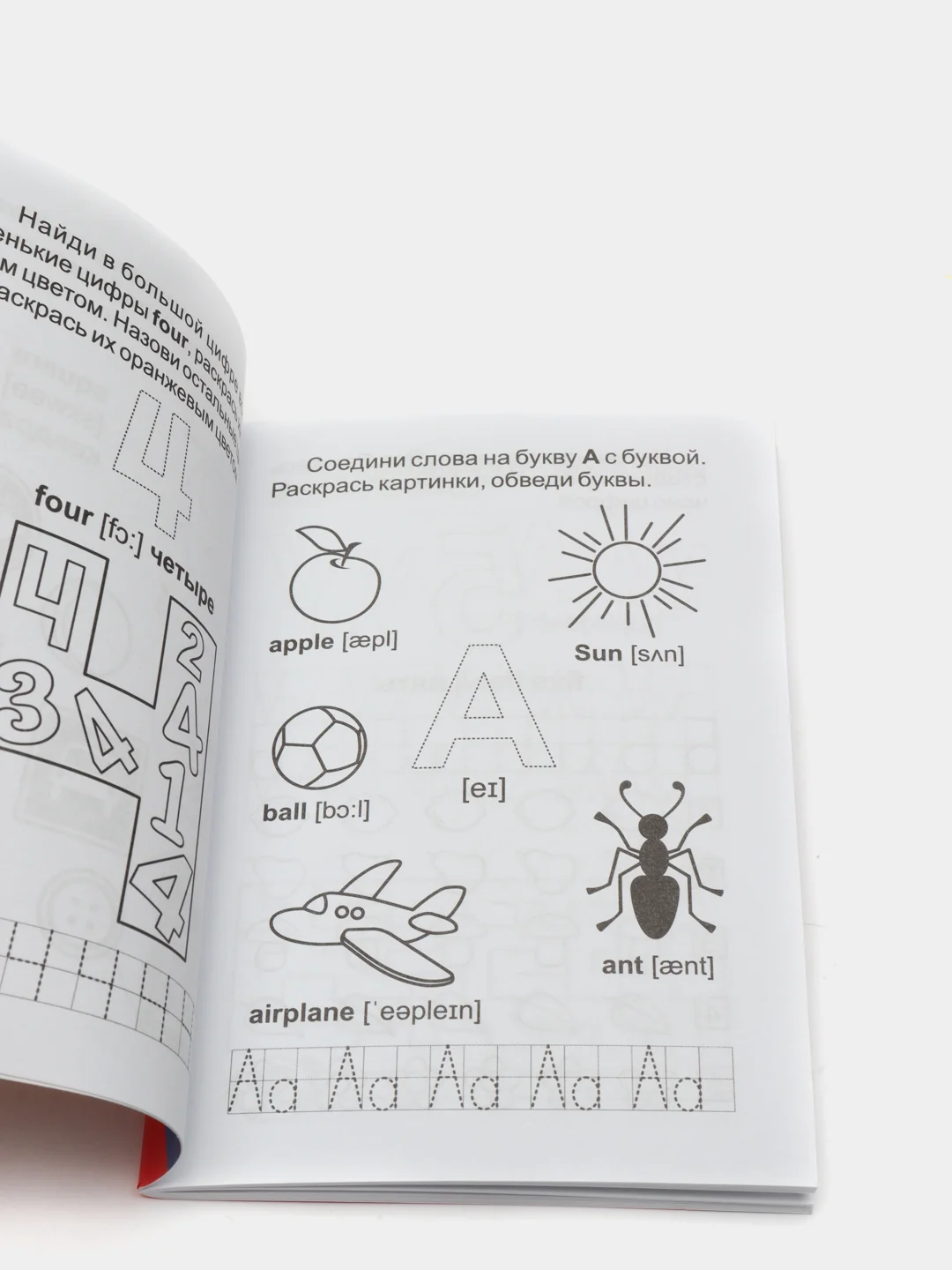Блокнот с заданиями. IQничка. English activity notebook: от 5 лет